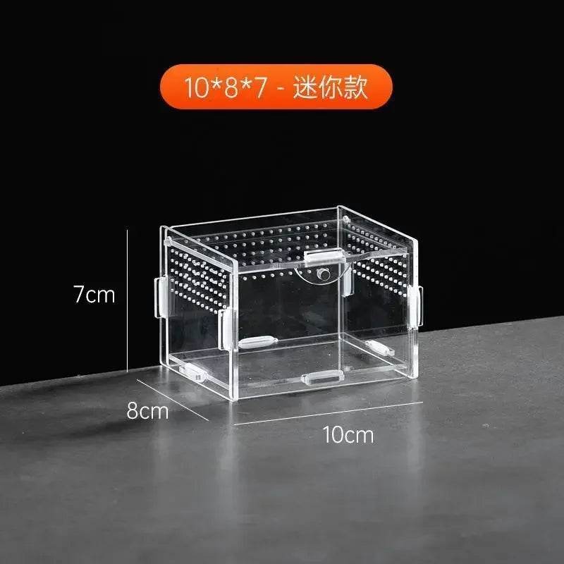 Boîte d'élevage de Terrarium pour reptiles, boîtier en acrylique, boîtier Nano arboricole pour tarentule, araignée, Scorpion, Dragon barbu - Animaleriex