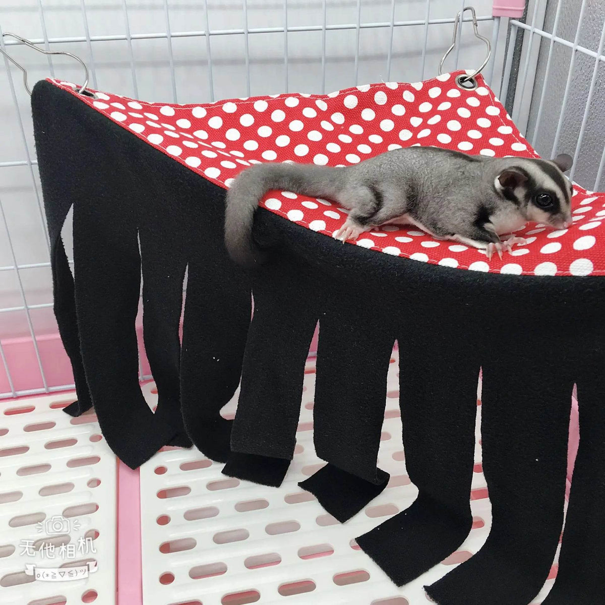 Tente à bande de pampilles pour animaux de compagnie, cachette, cachette, cochon d'inde, Hamster, hérisson, rideau de hamac, petits animaux de compagnie, lit suspendu, coin de nid, tapis de maison - Animaleriex