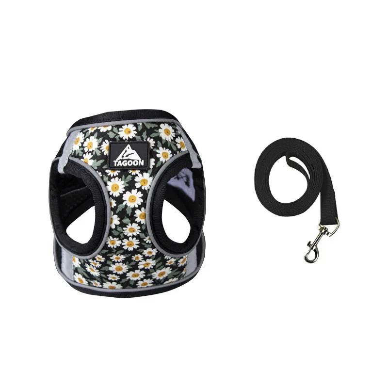 Harnais et laisse en maille de Nylon pour chat, respirant, pour chaton, petit chien, chiot, bouledogue français, Chihuahua, carlin - Animaleriex