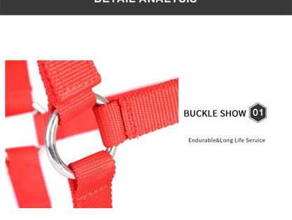 Cavassion usine directement vente Anti-friction protégeant la peau de cheval bride équitation Halter8218001 - Animaleriex