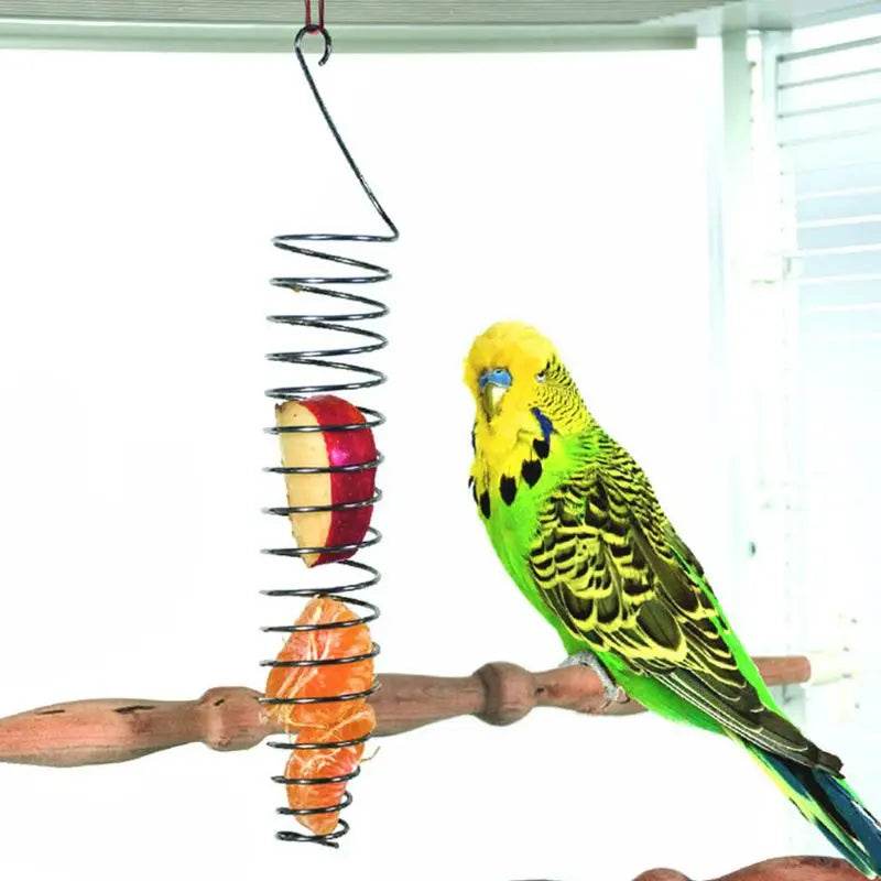 Perroquet oiseau nourriture panier de fruits jouets en acier inoxydable dispositif d'alimentation oiseaux Cage mangeoire - Animaleriex