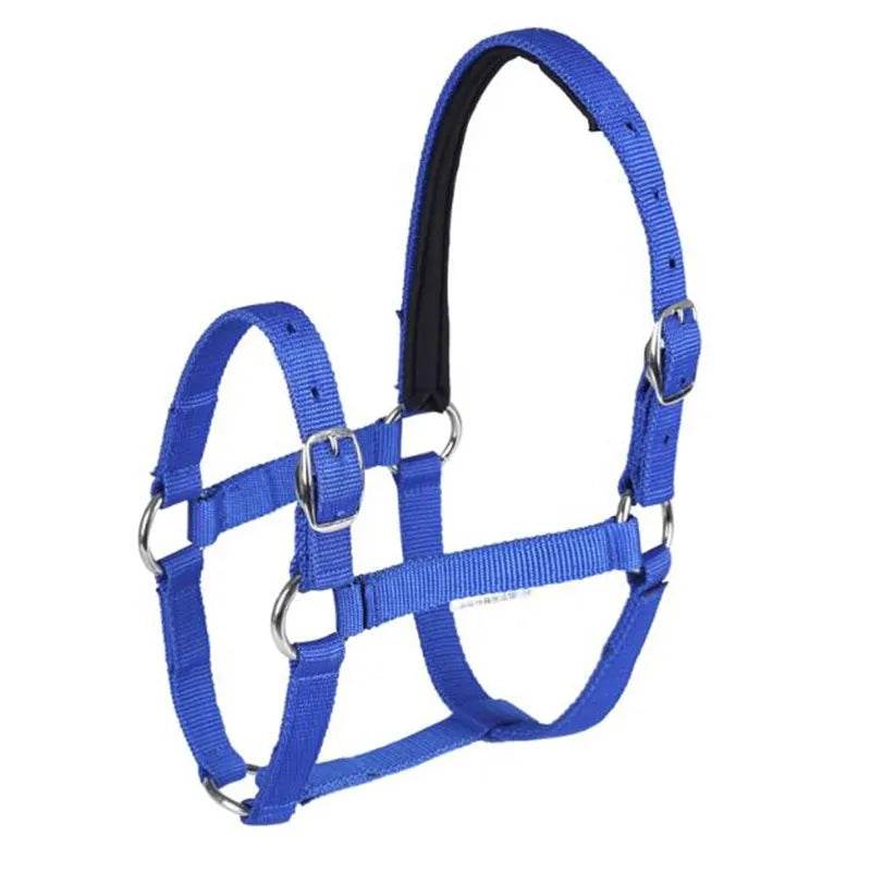 Cavassion usine directement vente Anti-friction protégeant la peau de cheval bride équitation Halter8218001 - Animaleriex