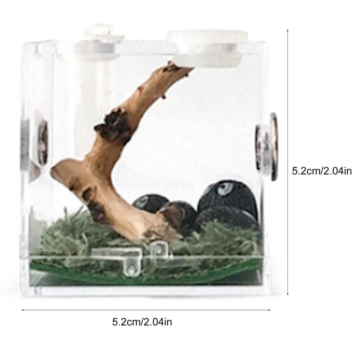 Boîte d'élevage de Reptiles, Cage en acrylique transparent, boîte d'alimentation pour insectes, réservoir de Terrarium anti-fuite pour araignée sautante, 3 tailles - Animaleriex