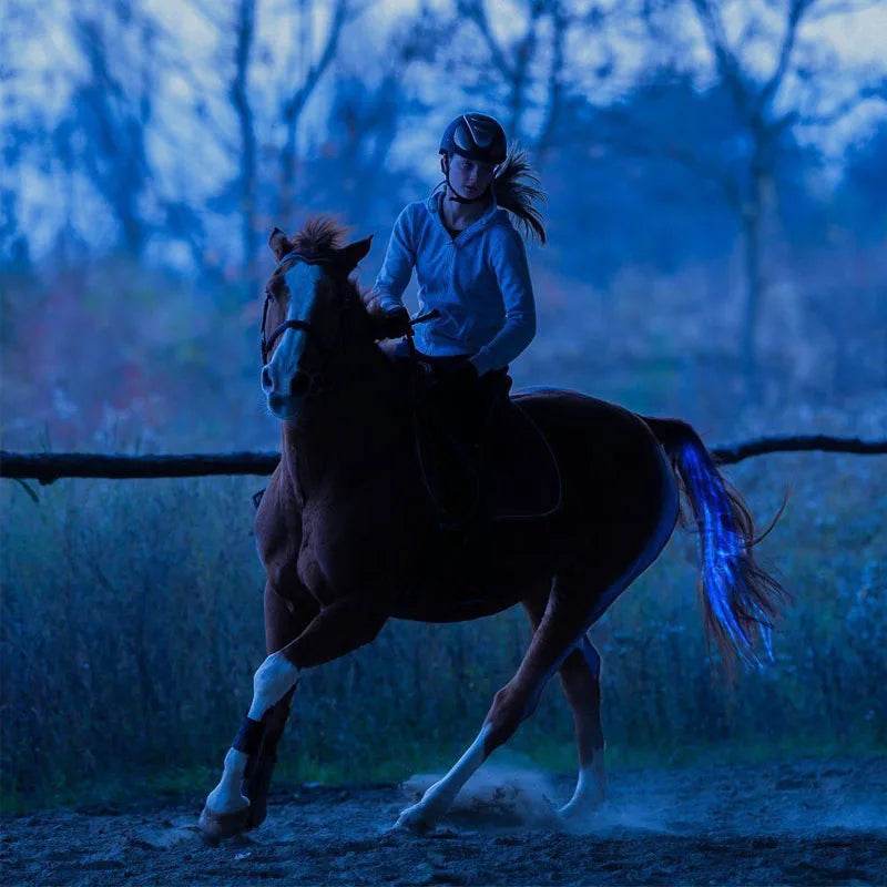 Accessoires de queue de cheval pour équitation, barre lumineuse clignotante LED, équipement de harnais pour Sports de plein air, Charge USB, décorations sûres pour l'équitation de nuit - Animaleriex