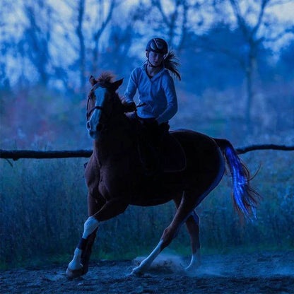 Accessoires de queue de cheval pour équitation, barre lumineuse clignotante LED, équipement de harnais pour Sports de plein air, Charge USB, décorations sûres pour l'équitation de nuit - Animaleriex