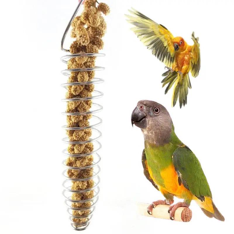 Perroquet oiseau nourriture panier de fruits jouets en acier inoxydable dispositif d'alimentation oiseaux Cage mangeoire - Animaleriex