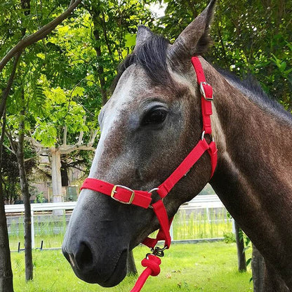Cavassion usine directement vente Anti-friction protégeant la peau de cheval bride équitation Halter8218001 - Animaleriex
