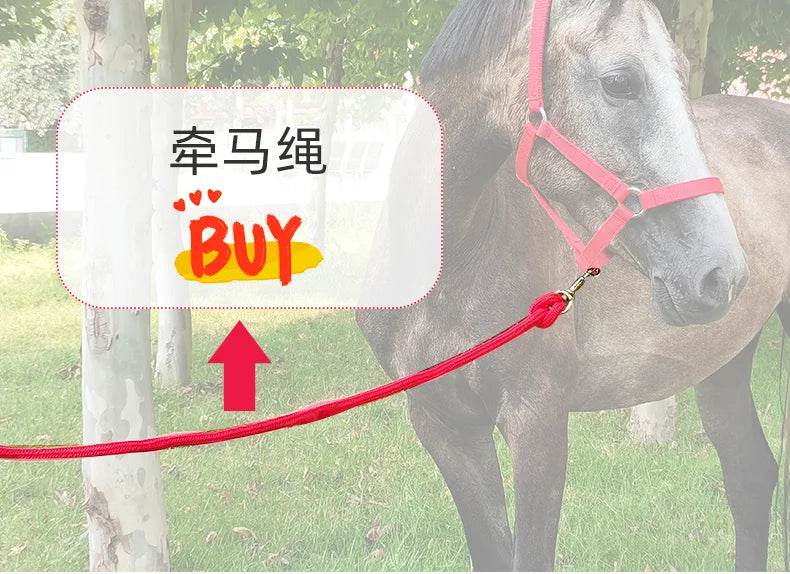 Cavassion usine directement vente Anti-friction protégeant la peau de cheval bride équitation Halter8218001 - Animaleriex