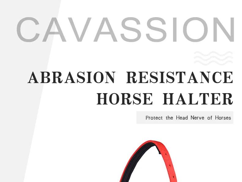 Cavassion usine directement vente Anti-friction protégeant la peau de cheval bride équitation Halter8218001 - Animaleriex