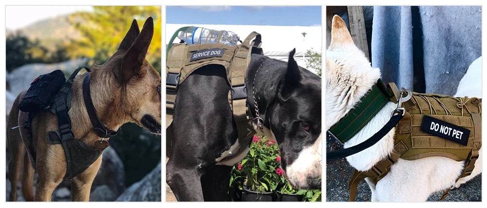 Harnais tactique pour chien, gilet d'entraînement pour animaux de compagnie, harnais militaire pour chien, collier de laisse pour petits, moyens et grands chiens, marche et chasse - Animaleriex