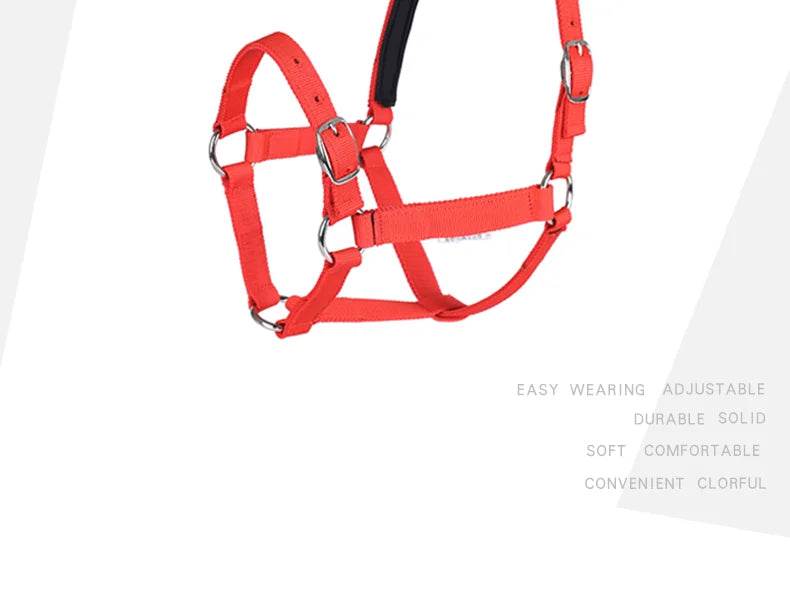 Cavassion usine directement vente Anti-friction protégeant la peau de cheval bride équitation Halter8218001 - Animaleriex