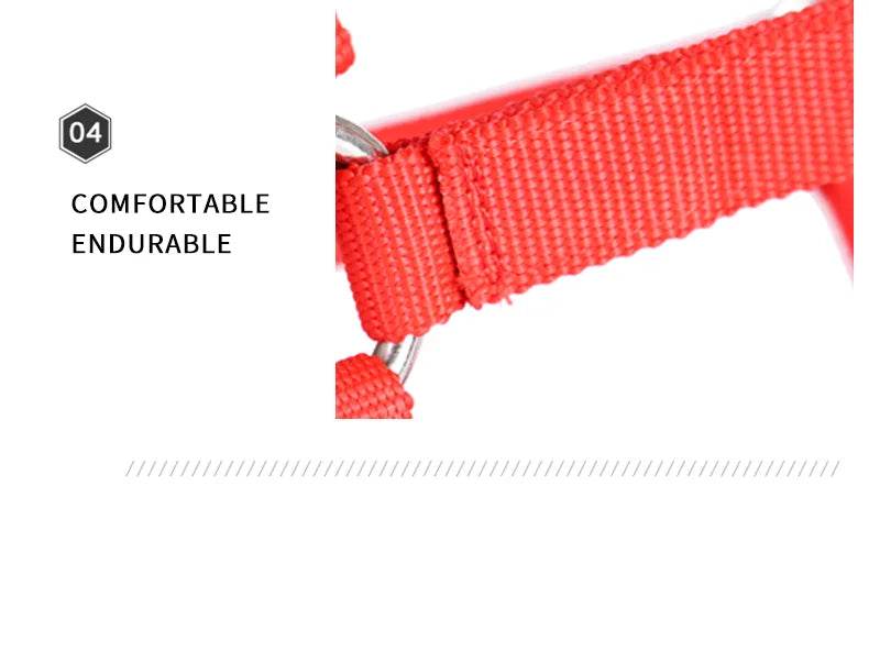 Cavassion usine directement vente Anti-friction protégeant la peau de cheval bride équitation Halter8218001 - Animaleriex