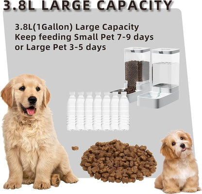 Mangeoire pour chien Distributeur d'eau pour chat Mangeoire automatique pour chat et distributeur d'eau pour chat Mangeoire pour chat par gravité Distributeur de stockage de nourriture Conteneur - Animaleriex