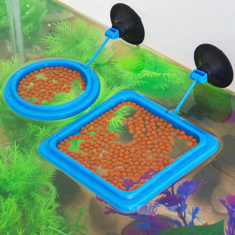 Anneau d'alimentation pour poissons d'aquarium, équipé de ventouses, Portable, circulaire et carré, mangeoire pour animaux aquatiques, outils d'alimentation pour Aquarium - Animaleriex