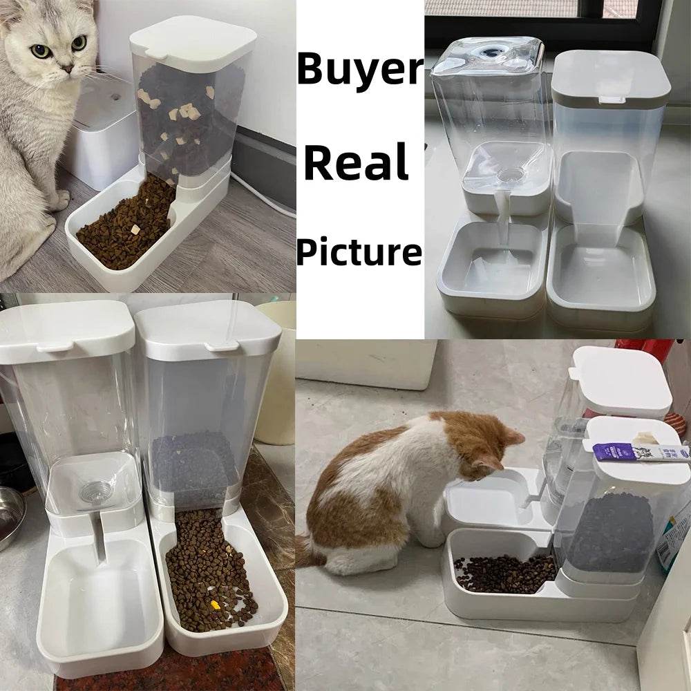 Mangeoire pour chien Distributeur d'eau pour chat Mangeoire automatique pour chat et distributeur d'eau pour chat Mangeoire pour chat par gravité Distributeur de stockage de nourriture Conteneur - Animaleriex