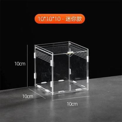 Boîte d'élevage de Terrarium pour reptiles, boîtier en acrylique, boîtier Nano arboricole pour tarentule, araignée, Scorpion, Dragon barbu - Animaleriex