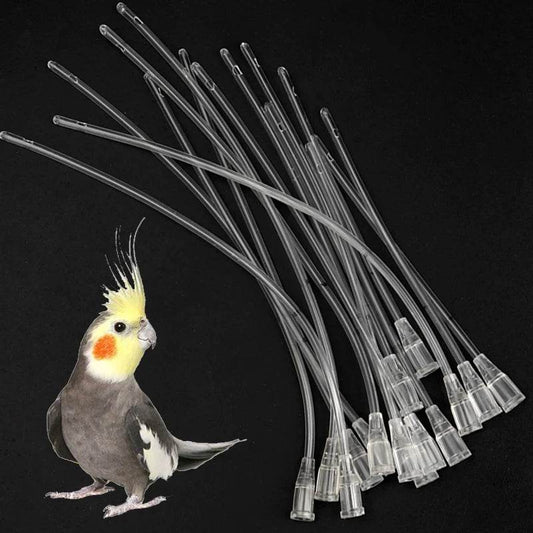 Mangeoire pour animal domestique, 10 pièces, petit Animal, chat, chien, Pigeon, perroquet, oiseaux, Tube d'aiguille d'alimentation, tuyau d'injection de liquide, fournitures en plastique - Animaleriex