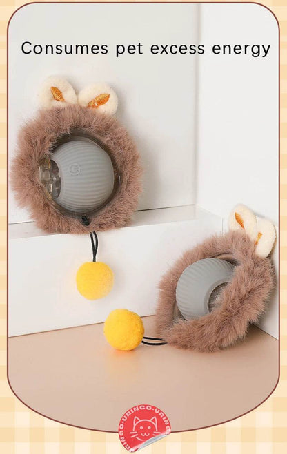 Jouets interactifs pour chat, balle à roulement rapide dans une pochette, jouet pour chaton, cache-cache, activé par le mouvement, pour l'intérieur - Animaleriex
