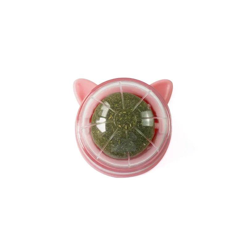 Poste à gratter naturel en herbe à chat, grattoir pour chat, autocollant mural, boule, jouet, produits pour animaux de compagnie, jouets thérapeutiques sains, maison - Animaleriex