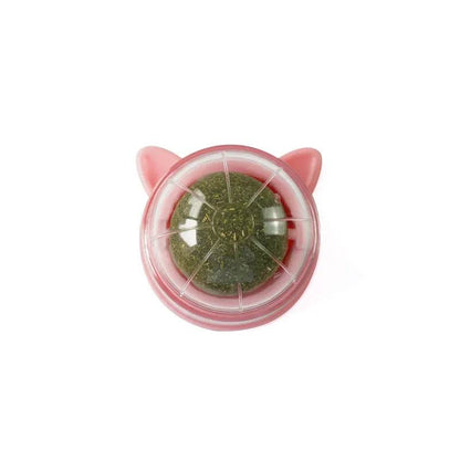 Poste à gratter naturel en herbe à chat, grattoir pour chat, autocollant mural, boule, jouet, produits pour animaux de compagnie, jouets thérapeutiques sains, maison - Animaleriex
