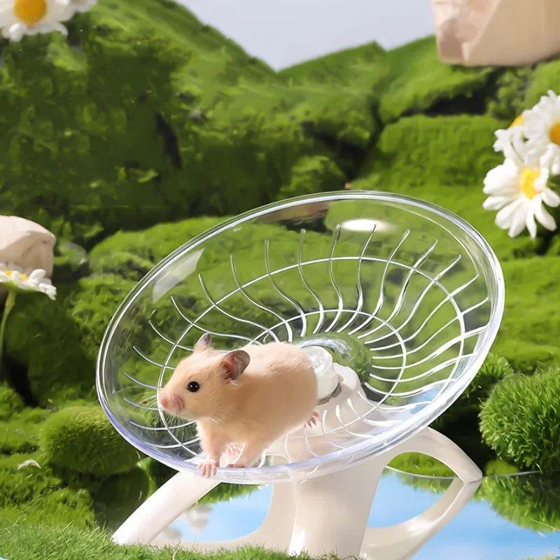 Roue d'entraînement silencieuse pour petits animaux, Hamster, souris, hérisson, perroquet, choix idéal pour les petits animaux, choix silencieux et sûr - Animaleriex