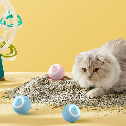 Jouet pour chats à mouvement automatique, balle Interactive, boule électrique roulante Rechargeable, accessoires pour animaux de compagnie, fournitures pour la maison - Animaleriex