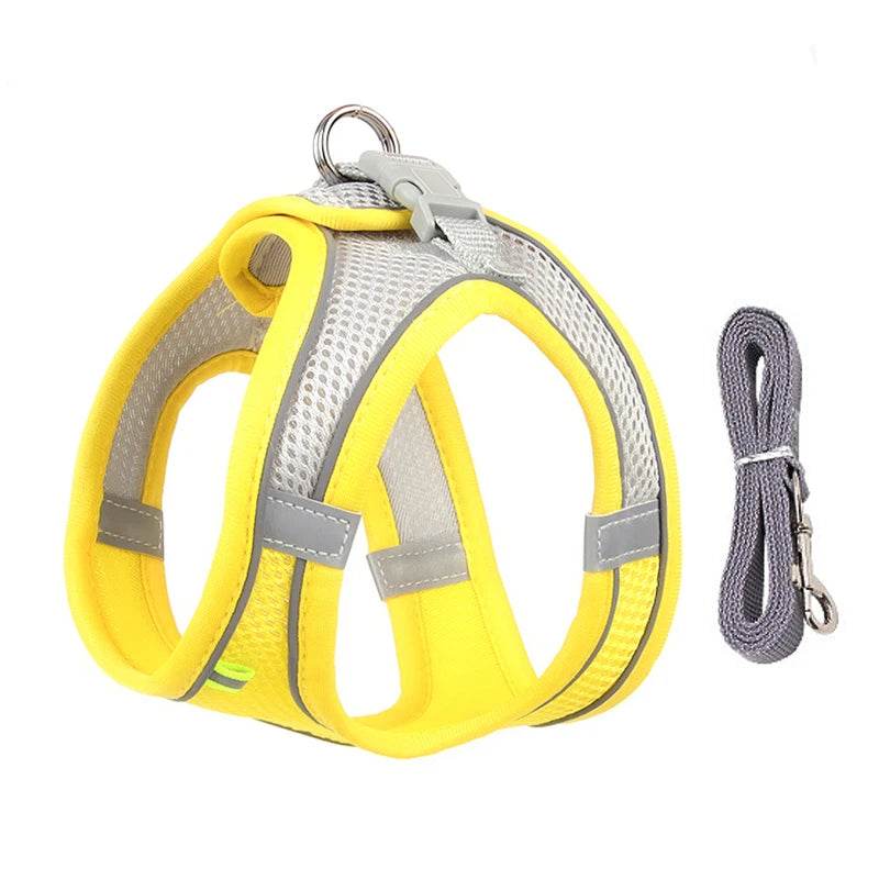 Ensemble de laisse de harnais pour chien pour petits chiens, harnais réglable pour chiot et chat, gilet bouledogue français, Chihuahua, carlin, laisse de marche en plein air - Animaleriex