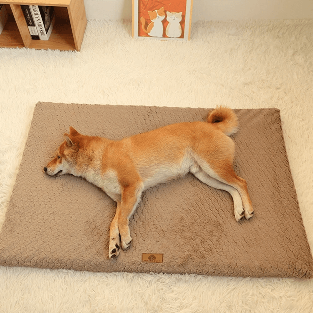 Lit pour animaux de compagnie en mousse à mémoire de forme, avec housse amovible en fausse fourrure lavable, lit orthopédique imperméable pour chien, caisse à fond antidérapant - Animaleriex