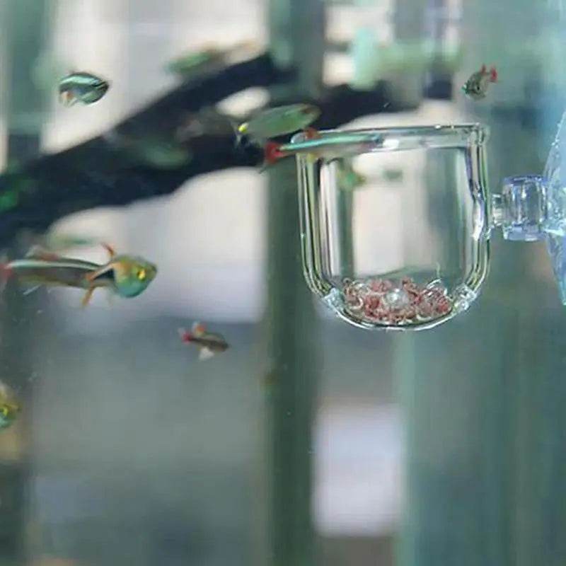 Pot de décoration d'aquarium, Pot en acrylique pour plantes aquatiques, avec support d'aspiration, cylindre de plantation, outil de décoration d'aquarium - Animaleriex