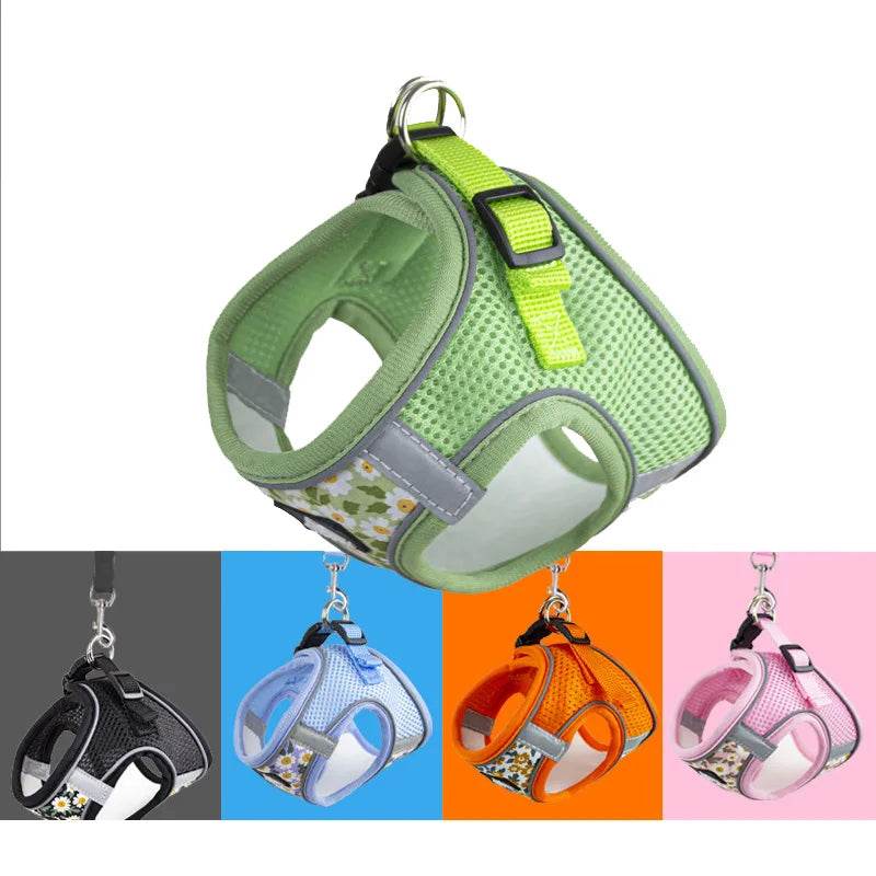 Harnais et laisse en maille de Nylon pour chat, respirant, pour chaton, petit chien, chiot, bouledogue français, Chihuahua, carlin - Animaleriex