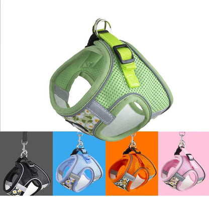 Harnais et laisse en maille de Nylon pour chat, respirant, pour chaton, petit chien, chiot, bouledogue français, Chihuahua, carlin - Animaleriex