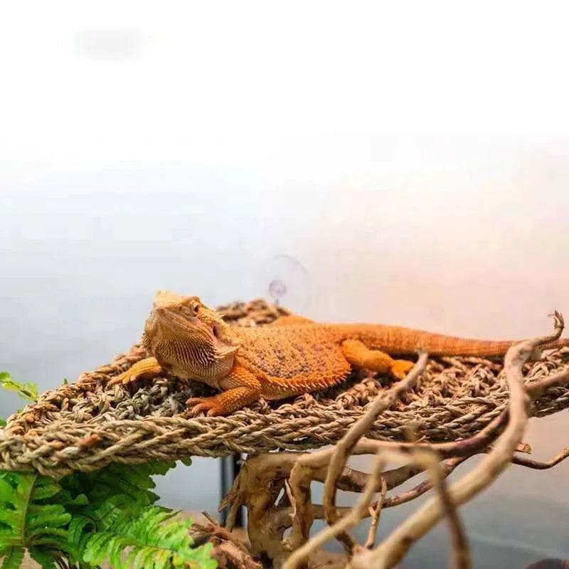 Hamac Dragon barbu pour reptiles, chaise longue pour caméléon, lézards, Gecko, serpents, Lguana, coussin d'herbe, balançoire pour animal de compagnie - Animaleriex