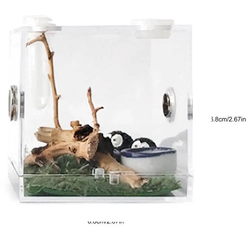 Boîte d'élevage de Reptiles, Cage en acrylique transparent, boîte d'alimentation pour insectes, réservoir de Terrarium anti-fuite pour araignée sautante, 3 tailles - Animaleriex