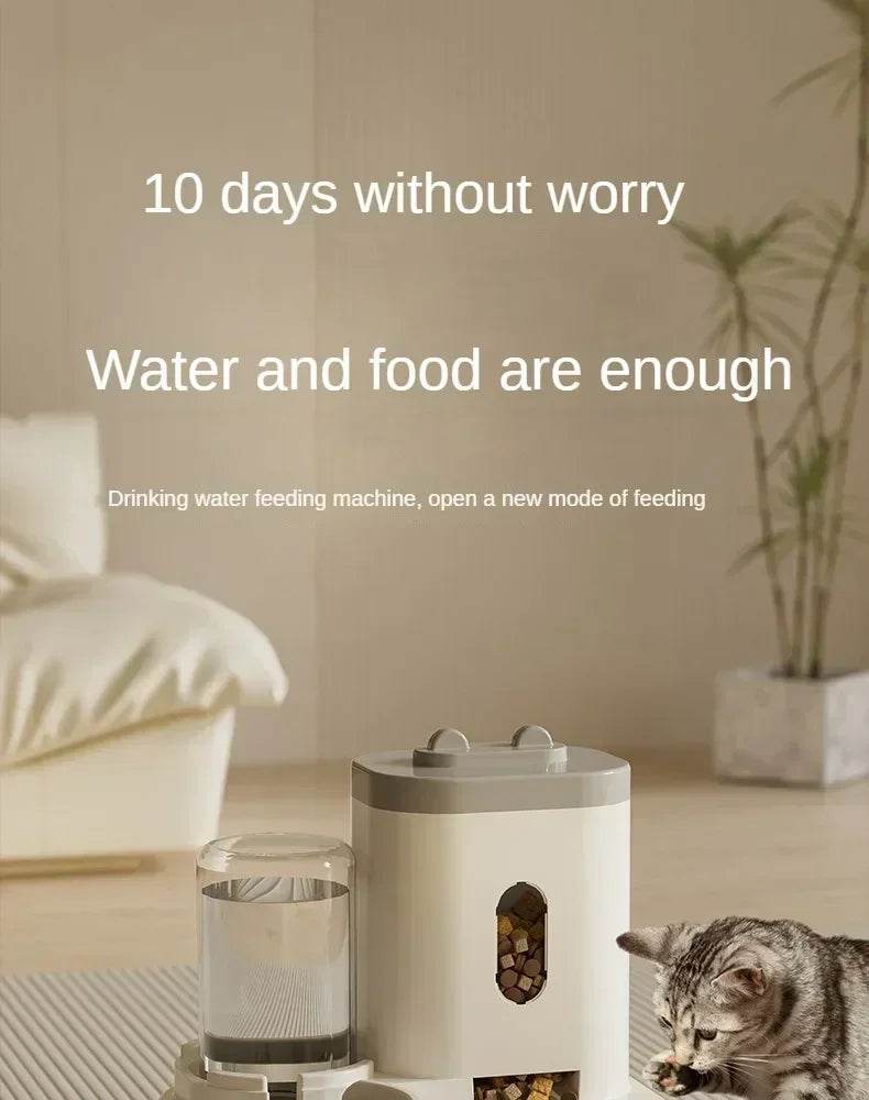 Mangeoire automatique chat chien bol de nourriture avec fontaine d'eau animal de compagnie grande capacité support surélevé bol pour chat abreuvoir accessoires - Animaleriex