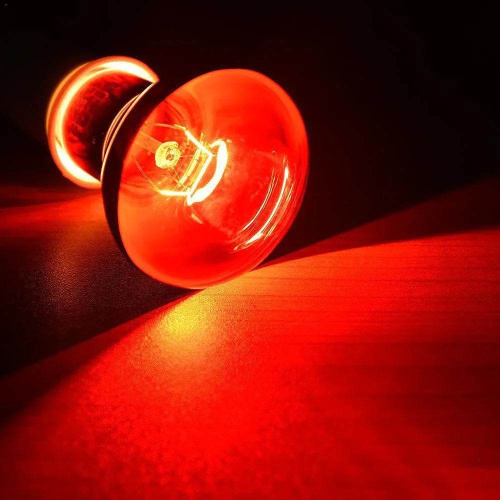 Lampe chauffante rouge amphibie UVA 220V, 25/40/50/60/75/100W, lampe infrarouge, ampoule en verre, accessoires pour Reptiles, serpents, lézards - Animaleriex