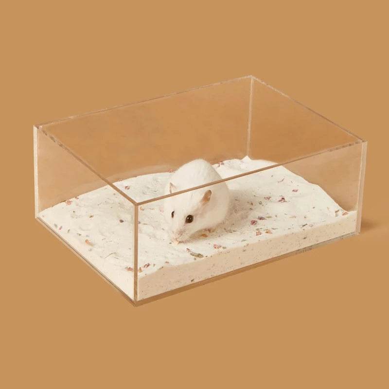 Hamster salle de bain maison bac à sable entièrement Transparent Urine sable bassin ours doré fournitures sable bain conteneur petite salle de bain pour animaux de compagnie - Animaleriex