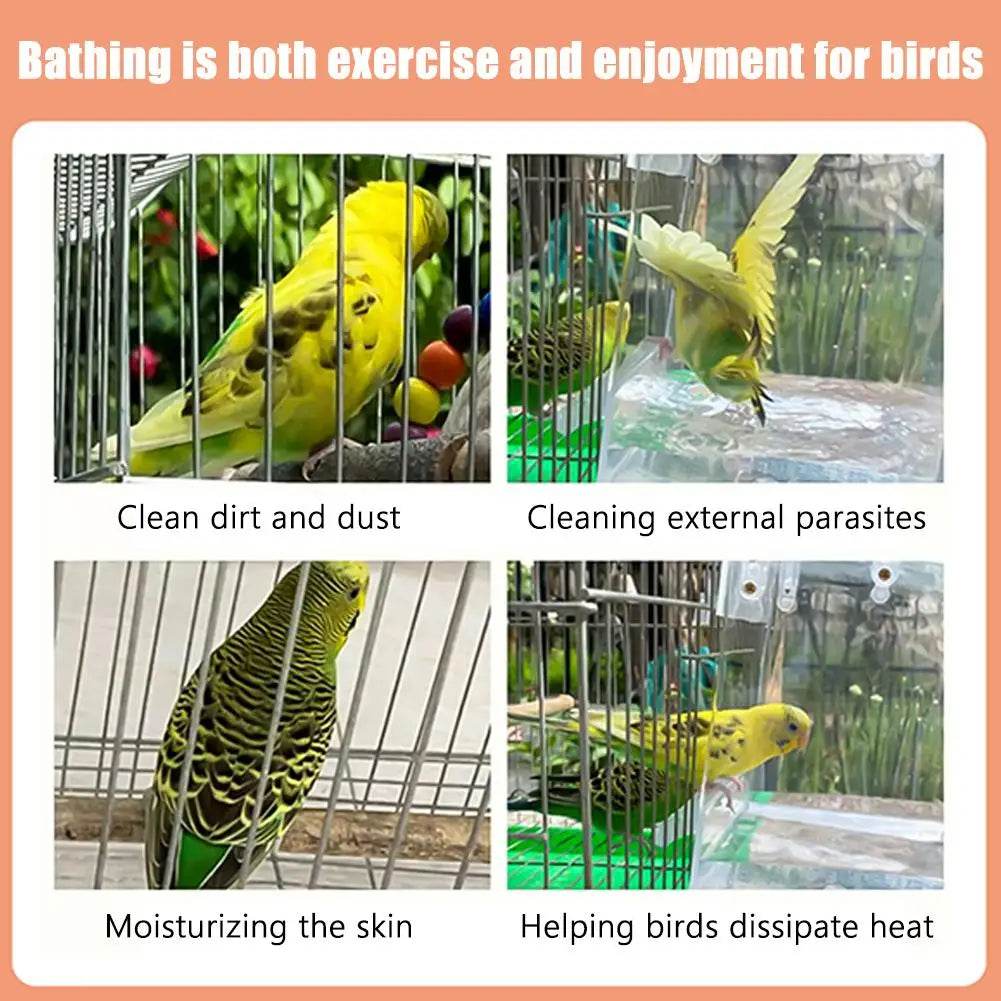 Bain d'oiseaux suspendu transparent pour Cage à perruches, accessoires pour perroquets, baignoire, douche, Cage pour canari, perruche, calopsitte - Animaleriex