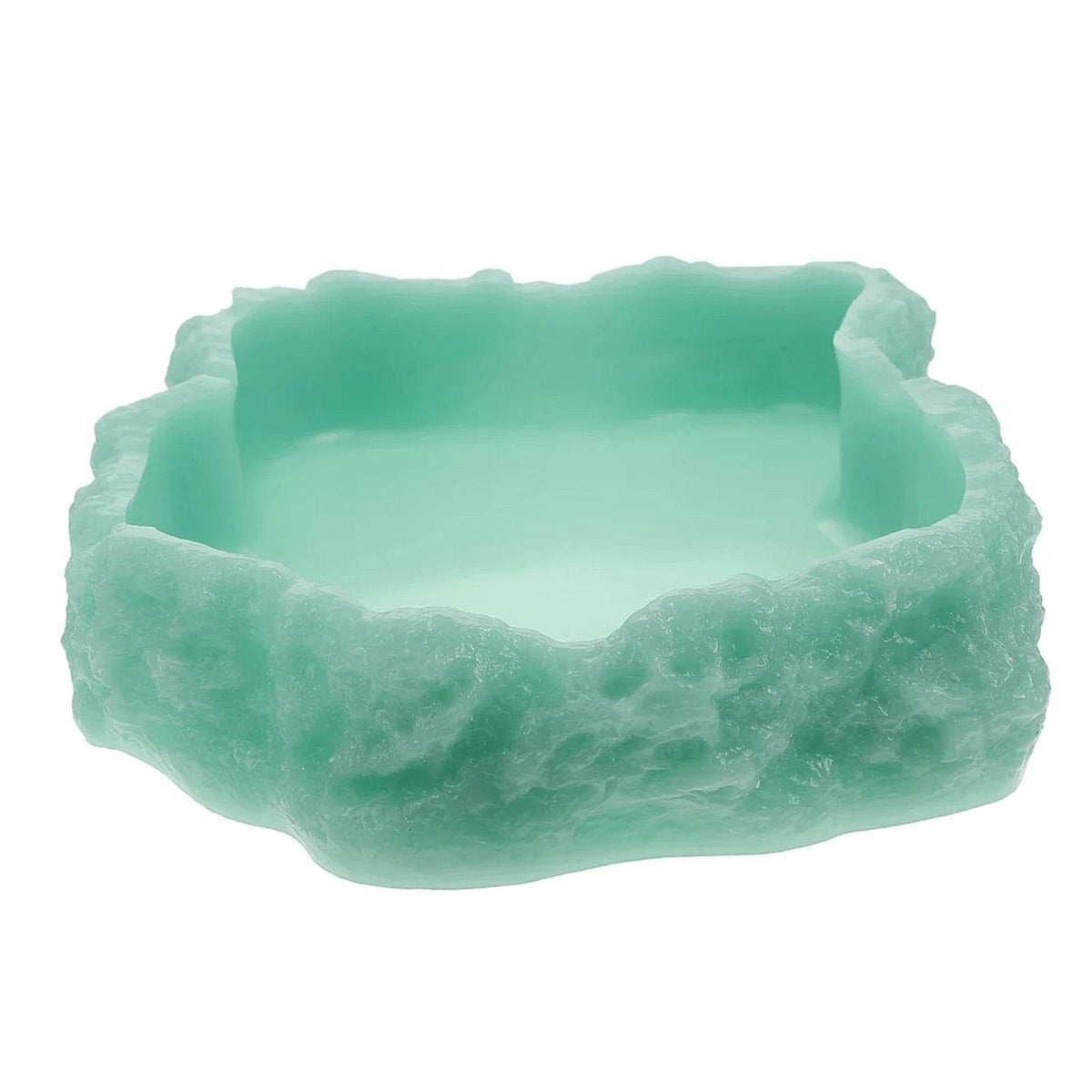 Bols d'eau pour reptiles, plaque de Terrarium, mangeoire pour amphibiens, grenouille, caméléon, tortue, Dragon barbu, tortue - Animaleriex
