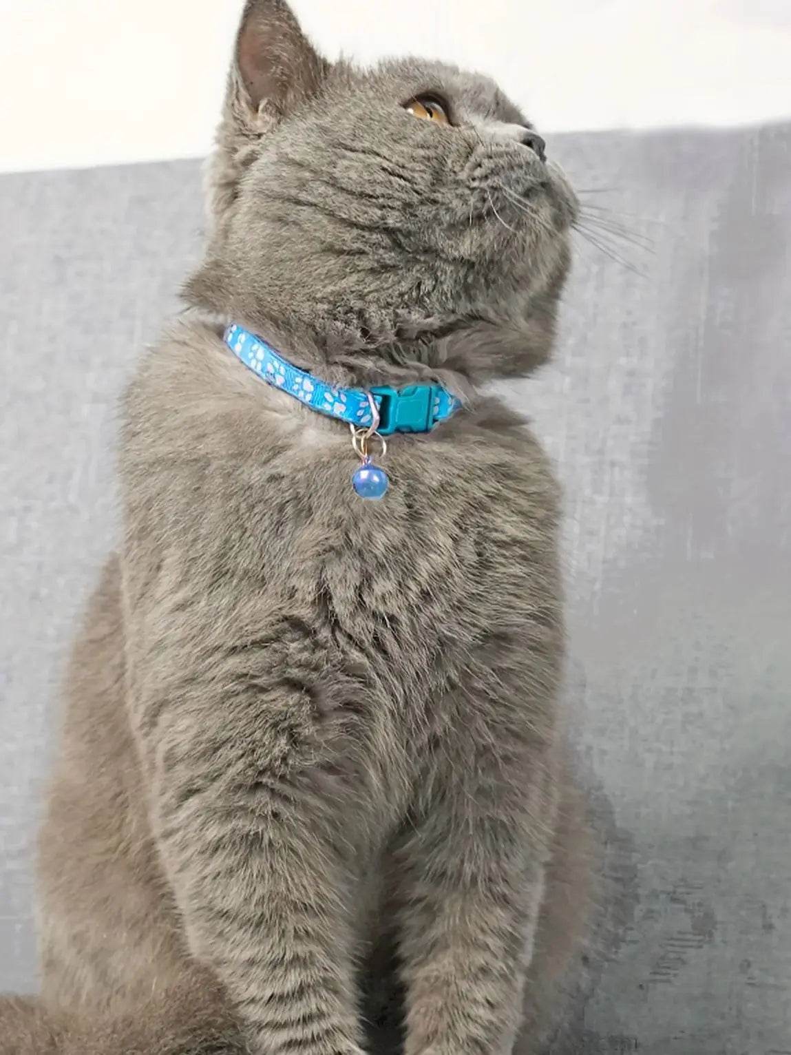 Collier pour animaux de compagnie à la mode, motif coloré, cloche mignonne, colliers réglables pour chats chaton, anneau DIY, accessoires pour animaux de compagnie - Animaleriex