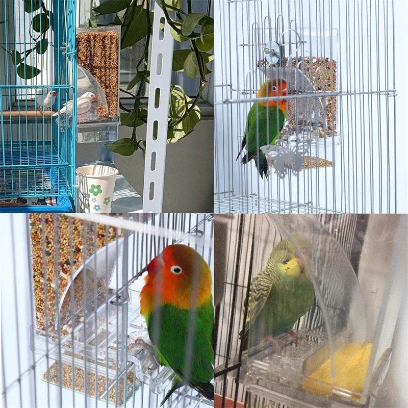 Mangeoires automatiques pour oiseaux, sans gâchis, pour perroquets, conteneur de nourriture en acrylique, accessoires de Cage pour petites et moyennes perruches - Animaleriex