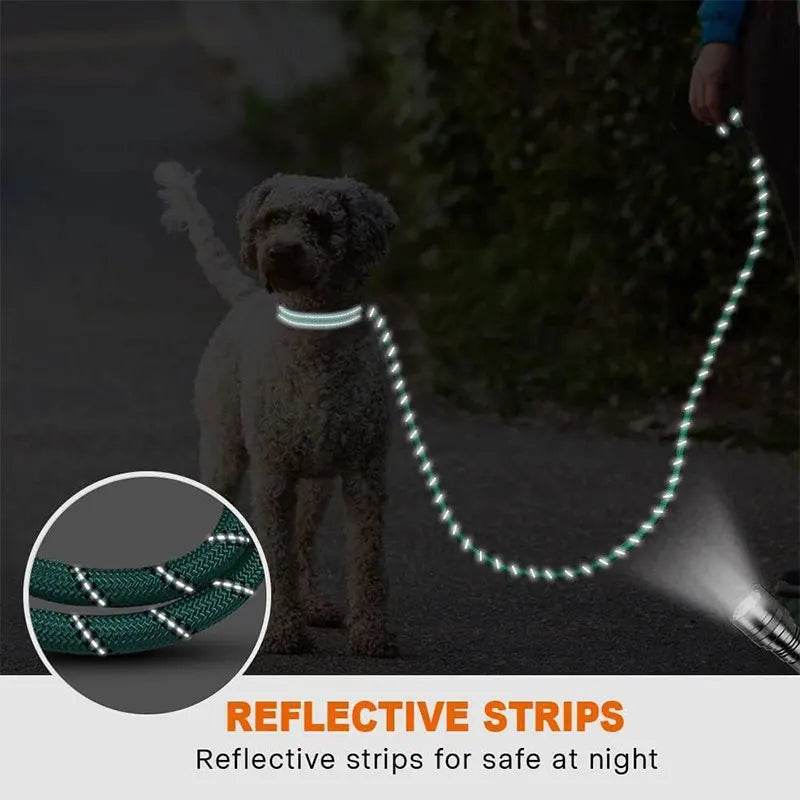 Laisse réfléchissante pour chien, corde de Traction, pour la sécurité des grands, petits et moyens chiens, poignée rembourrée confortable et Durable, accessoires pour animaux de compagnie - Animaleriex