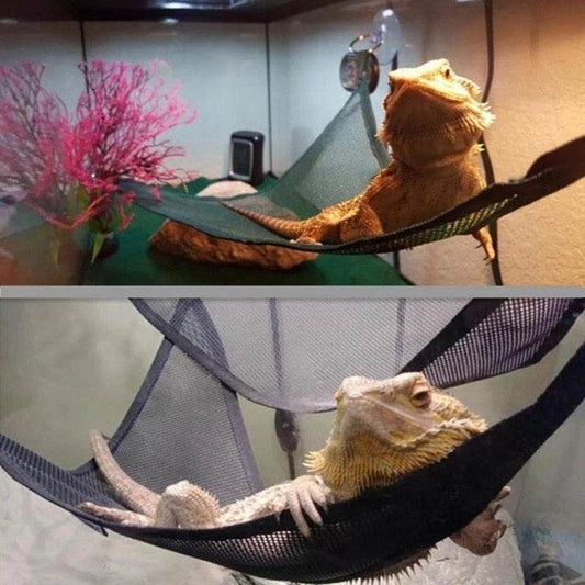 Ensemble d'accessoires d'échelle de chaise longue de hamac de Reptile pour les grands petits dragons barbus Anole Geckos lézards ou serpents accessoire de Reptile - Animaleriex