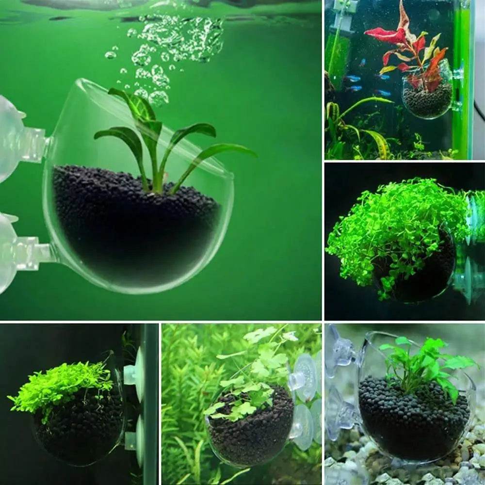 Pot de décoration d'aquarium, Pot en acrylique pour plantes aquatiques, avec support d'aspiration, cylindre de plantation, outil de décoration d'aquarium - Animaleriex