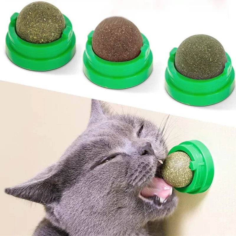 Poste à gratter naturel en herbe à chat, grattoir pour chat, autocollant mural, boule, jouet, produits pour animaux de compagnie, jouets thérapeutiques sains, maison - Animaleriex