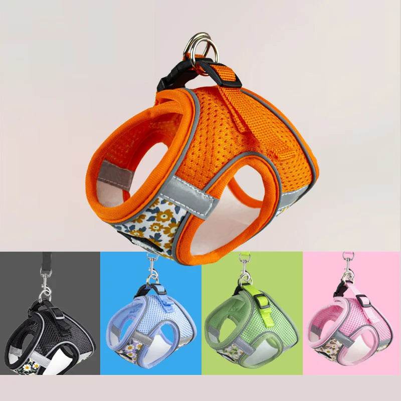 Harnais et laisse en maille de Nylon pour chat, respirant, pour chaton, petit chien, chiot, bouledogue français, Chihuahua, carlin - Animaleriex