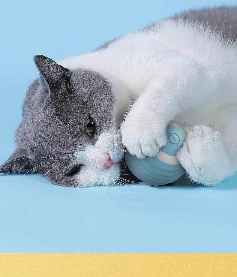 Balle Interactive pour chat, jouets intelligents pour animaux de compagnie, boule magique à roulement automatique d'intérieur, jouet interactif électronique, accessoires de jeu pour chat - Animaleriex