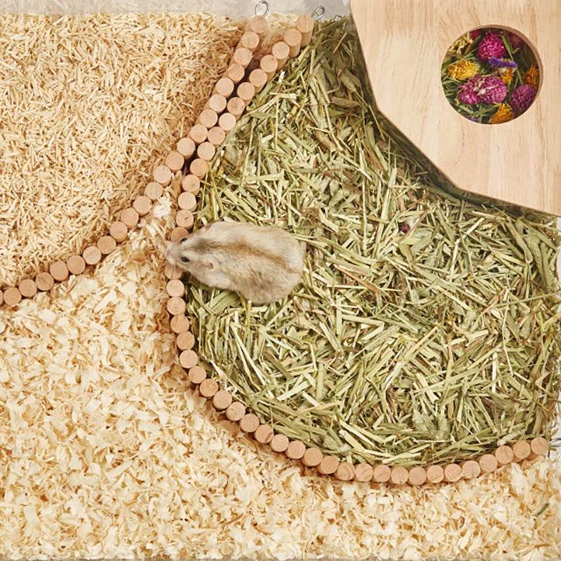 Hamster salle de bain maison bac à sable entièrement Transparent Urine sable bassin ours doré fournitures sable bain conteneur petite salle de bain pour animaux de compagnie - Animaleriex