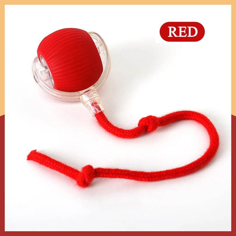 Jouets interactifs pour chat, balle à roulement rapide dans une pochette, jouet pour chaton, cache-cache, activé par le mouvement, pour l'intérieur - Animaleriex