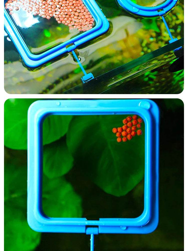 Anneau d'alimentation flottant pour poissons, Station d'aquarium à cercle carré avec ventouse, distributeur de nourriture facile, conception peu encombrante - Animaleriex