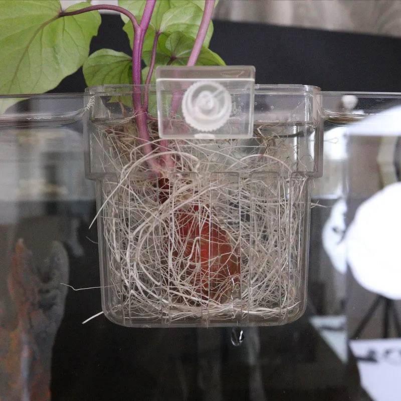 Bulles de poisson, tasse d'herbe d'eau d'aquarium, panier de plantation hydroponique pour plantes multiples, pour paysage d'aquarium - Animaleriex
